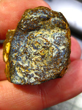 Laden Sie das Bild in den Galerie-Viewer, 67 cts Australien Roh/rough Yowah Nuss Nut Boulder Matrix Opal Sammler Schleifer