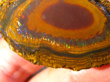 Laden Sie das Bild in den Galerie-Viewer, 119 cts Australien Roh/rough Yowah Nuss Nut Boulder Matrix Opal Sammler Schleifer