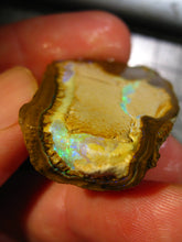 Laden Sie das Bild in den Galerie-Viewer, 75 cts Australien Roh/rough Yowah Nuss Nut Boulder Matrix Opal Sammler Schleifer