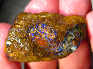 K98 cts Australien Roh/rough Yowah Nuss Nut Boulder Matrix Opal Sammler Schleifer