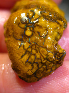 26 cts Australien Roh/rough Yowah Nuss Nut Boulder Matrix Opal Sammler Schleifer