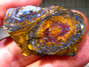 61 cts Australien Roh/rough Yowah Nuss Nut Boulder Matrix Opal Sammler Schleifer