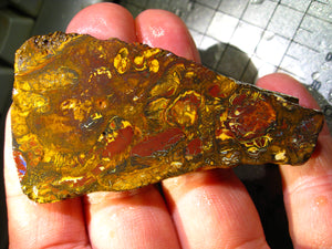 194 cts Australien Roh/rough Yowah Nuss Nut Boulder Matrix Opal Sammler Schleifer