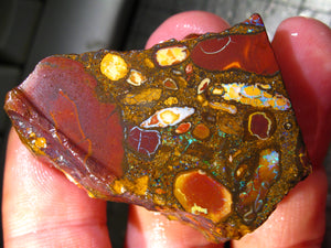 197 cts Australien Roh/rough Yowah Nuss Nut Boulder Matrix Opal Sammler Schleifer