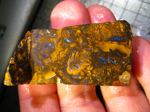 161 cts Australien Roh/rough Yowah Nuss Nut Boulder Matrix Opal Sammler Schleifer