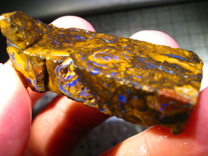 161 cts Australien Roh/rough Yowah Nuss Nut Boulder Matrix Opal Sammler Schleifer