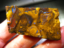 Laden Sie das Bild in den Galerie-Viewer, 161 cts Australien Roh/rough Yowah Nuss Nut Boulder Matrix Opal Sammler Schleifer
