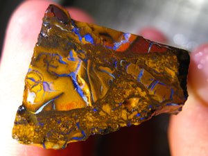 161 cts Australien Roh/rough Yowah Nuss Nut Boulder Matrix Opal Sammler Schleifer