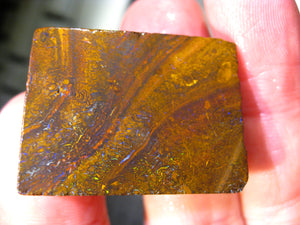 123 cts Australien Roh/rough Yowah Nuss Nut Boulder Matrix Opal Sammler Schleifer