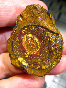 164 cts Australien Roh/rough Yowah Nuss Nut Boulder Matrix Opal Sammler Schleifer