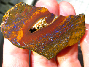 175 cts Australien Roh/rough Yowah Nuss Nut Boulder Matrix Opal Sammler Schleifer