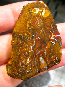 200 cts Australien Roh/rough Yowah Nuss Nut Boulder Matrix Opal Sammler Schleifer