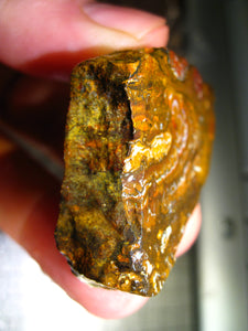 200 cts Australien Roh/rough Yowah Nuss Nut Boulder Matrix Opal Sammler Schleifer