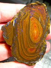 Laden Sie das Bild in den Galerie-Viewer, 212 cts Australien Roh/rough Yowah Nuss Nut Boulder Matrix Opal Sammler Schleifer