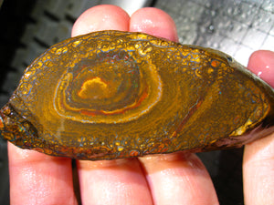 364 cts Australien Roh/rough Yowah Nuss Nut Boulder Matrix Opal Sammler Schleifer