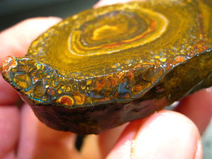364 cts Australien Roh/rough Yowah Nuss Nut Boulder Matrix Opal Sammler Schleifer