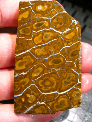 260 cts Australien Roh/rough Yowah Nuss Nut Boulder Matrix Opal Sammler Schleifer