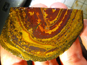 139 cts Australien Roh/rough Yowah Nuss Nut Boulder Matrix Opal Sammler Schleifer