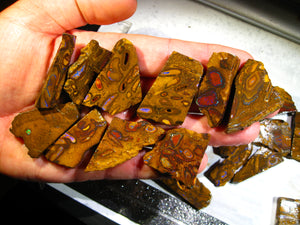 1300cts Australien Roh/rough Yowah Nut Nüsse Boulder Matrix Opale Picture Stones - Repps-Opal