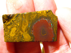 106cts Australien Roh/rough Yowah Koroit Boulder Matrix Opale Sammler Schleifer - Repps-Opal