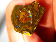 Laden Sie das Bild in den Galerie-Viewer, 110cts Australien Roh/rough Yowah Koroit Boulder Matrix Opale Sammler Schleifer - Repps-Opal