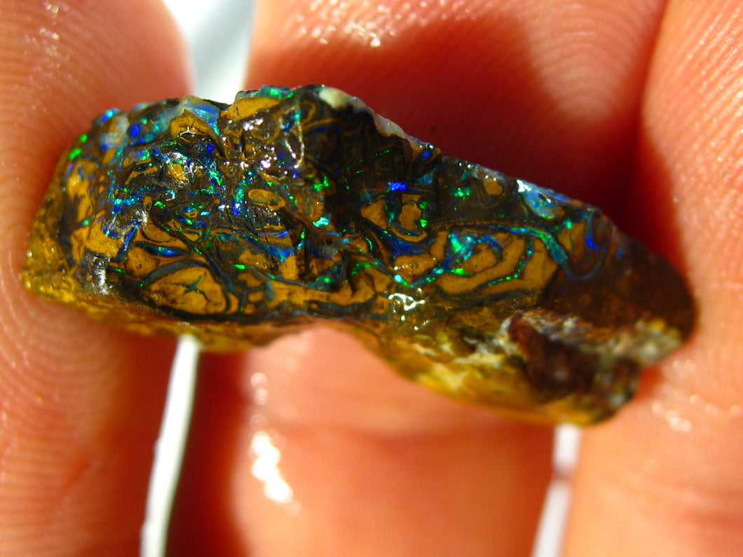 67cts Australien Roh/rough Yowah Koroit Boulder Matrix Opale Sammler Schleifer - Repps-Opal