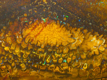 Laden Sie das Bild in den Galerie-Viewer, 205 cts Australien Roh/rough Yowah Boulder Matrix Opal - Repps-Opal